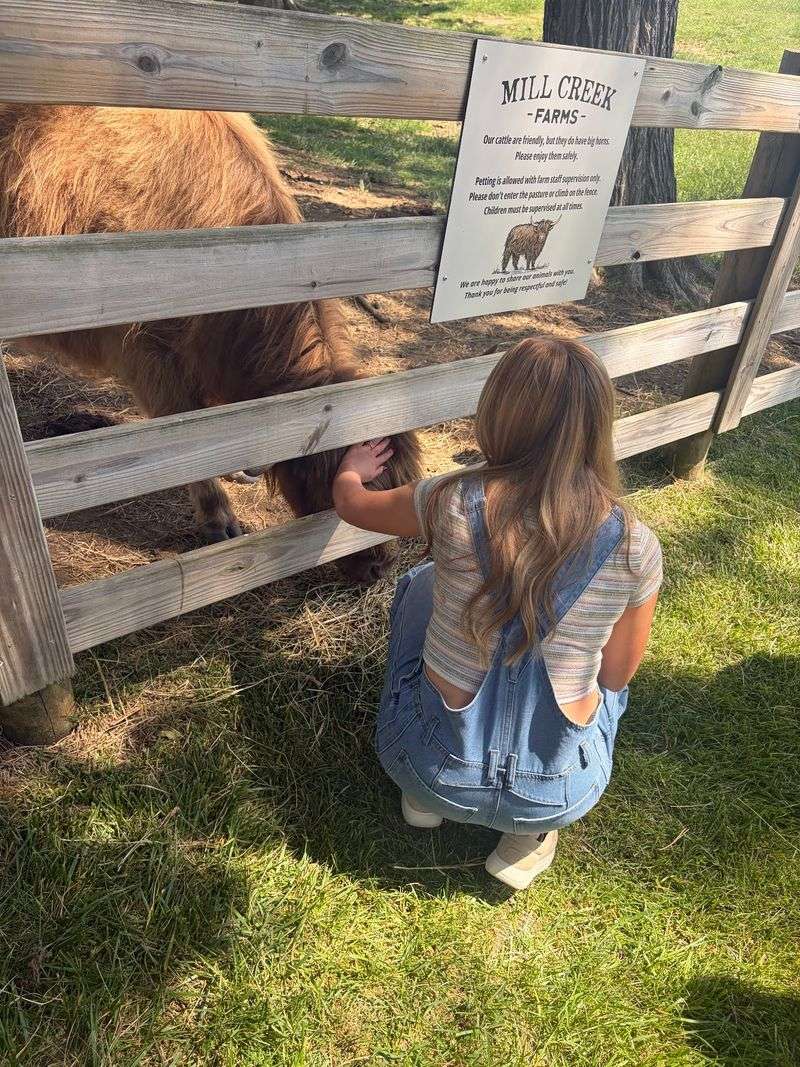 Learning About The Breed And Tennessee Agriculture