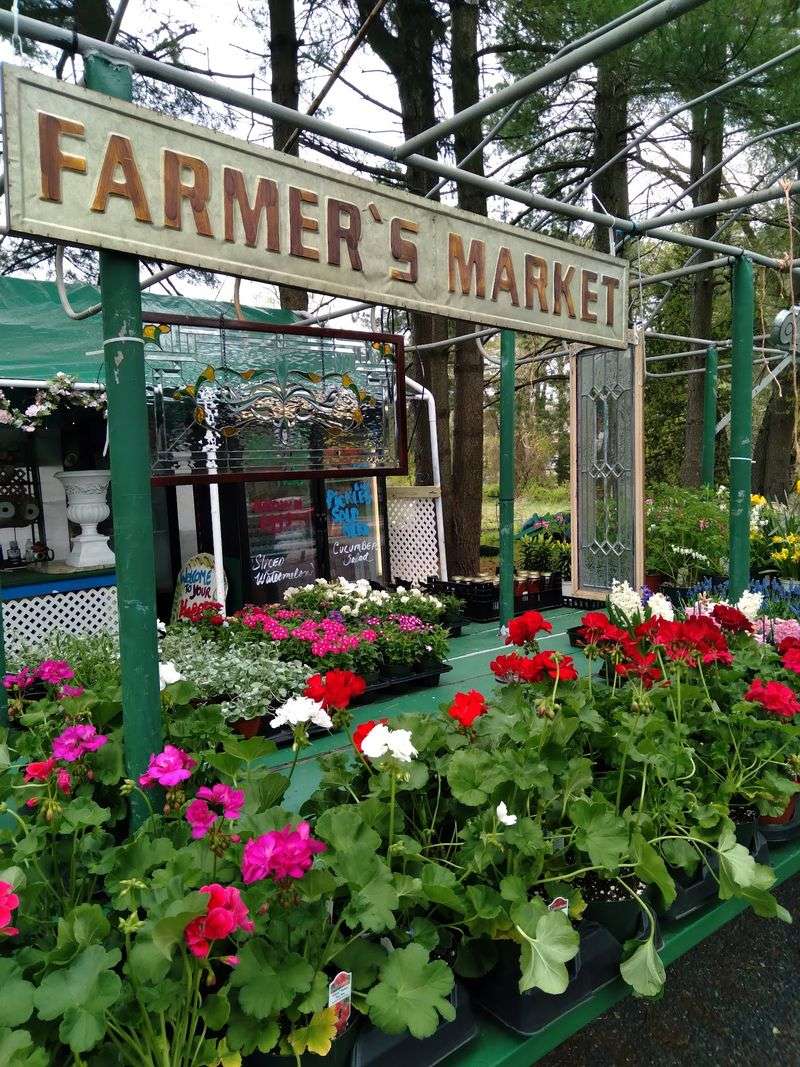 Lew's Farm Market, Moorestown, NJ Lew's Farm Market, Moorestown, NJ