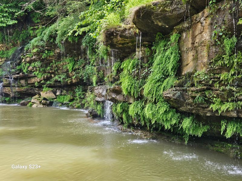 Limestone Cliffs and Hanging Gardens