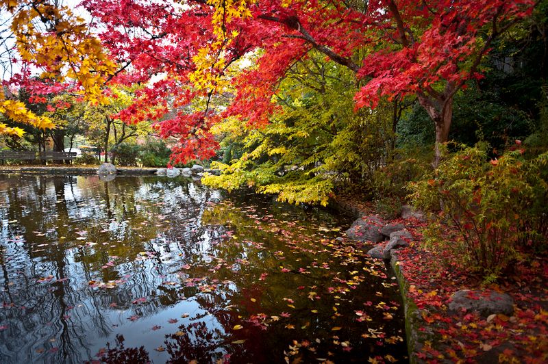 Lithia Park, Ashland, OR Lithia Park, Ashland, OR