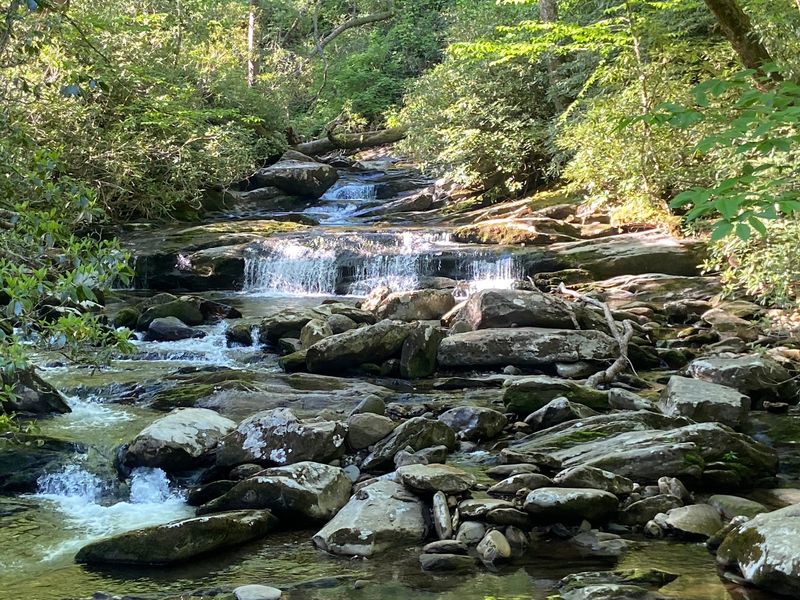 Little Bridges and Tiny Waterfalls Little Bridges and Tiny Waterfalls