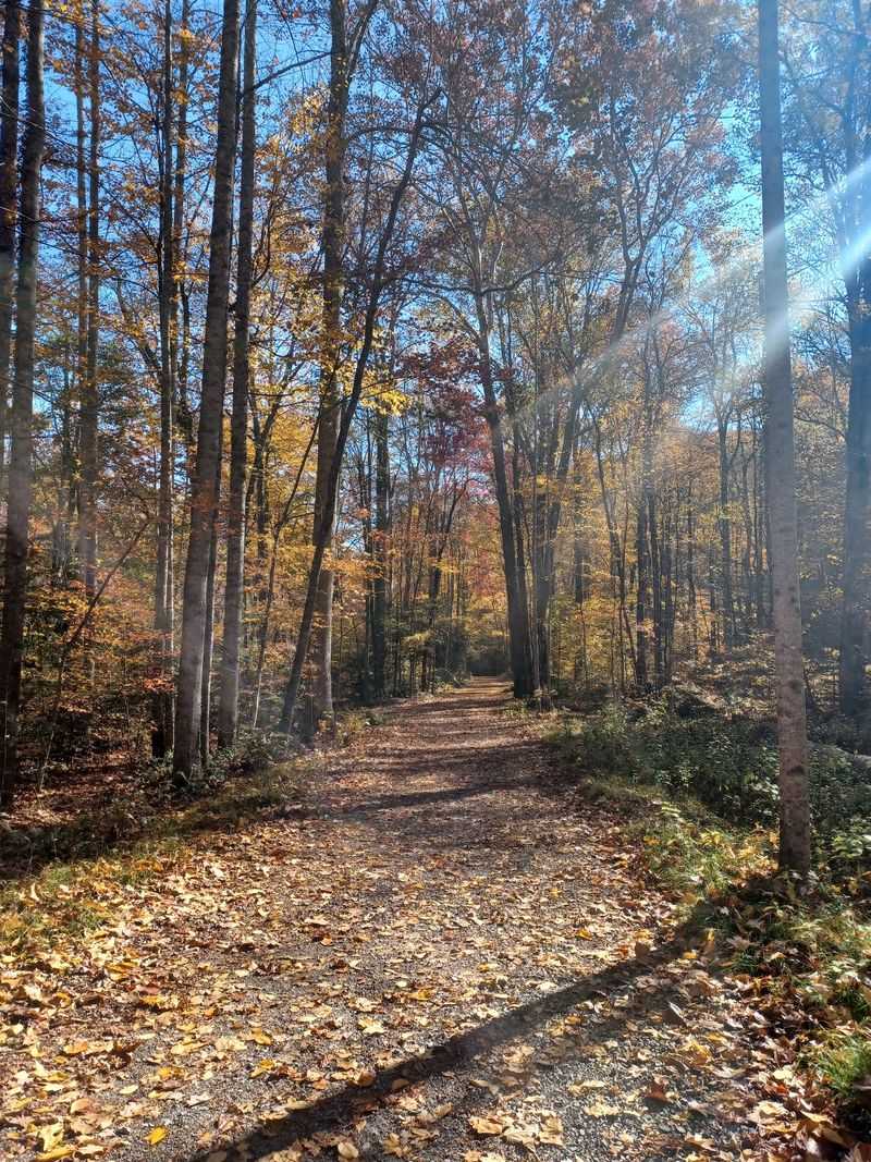 Little River Trail Little River Trail