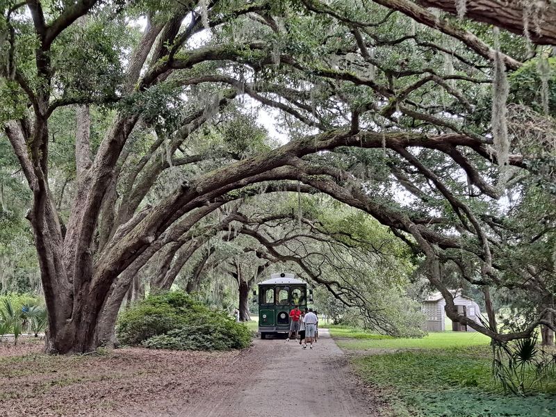 Live Oaks, Country Roads, and Rocking Chairs