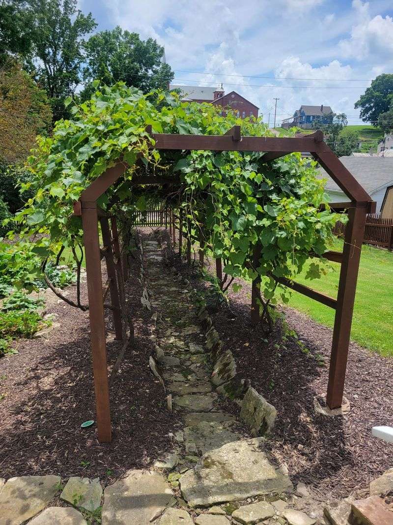 Living Gardens Rooted in Tradition