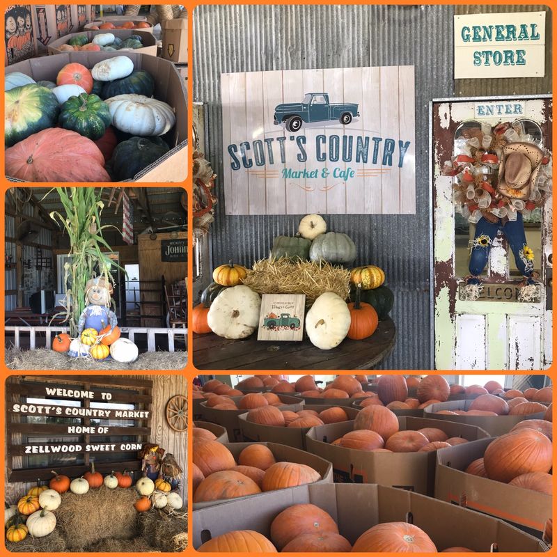 Long & Scott Farms, Mt Dora, FL