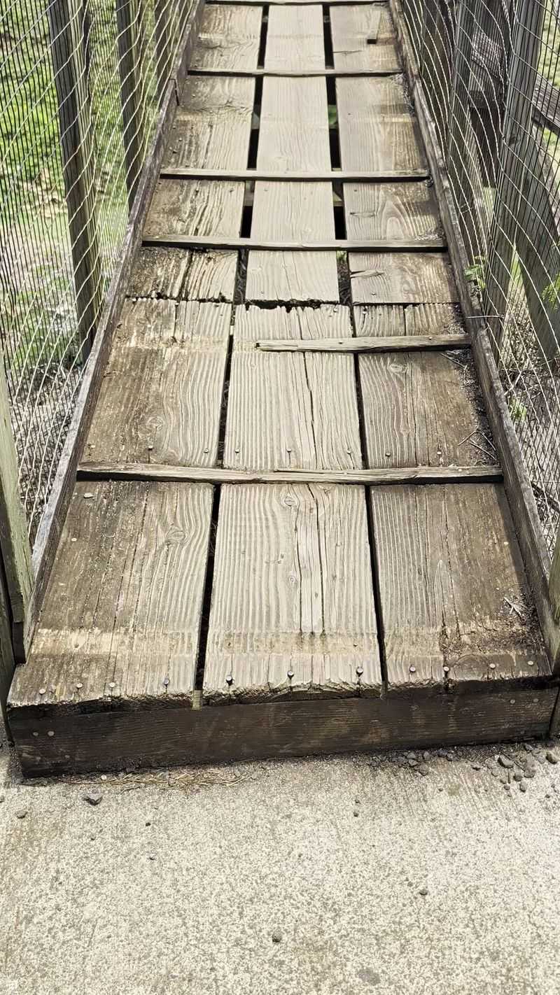 Loose Boards and a Bridge That Keeps It Real Loose Boards and a Bridge That Keeps It Real
