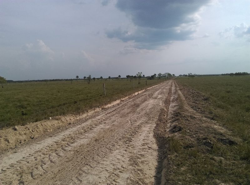 Los Llanos, Venezuela and Colombia