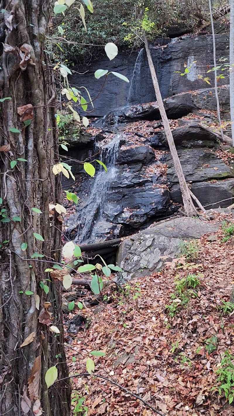Lower Desoto Falls, Dahlonega, GA