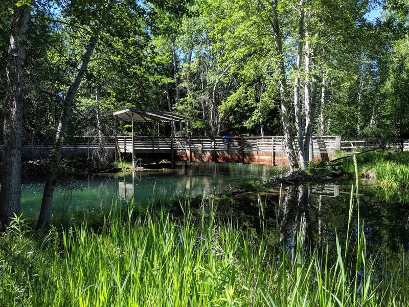 MK Nature Center, Boise, Idaho
