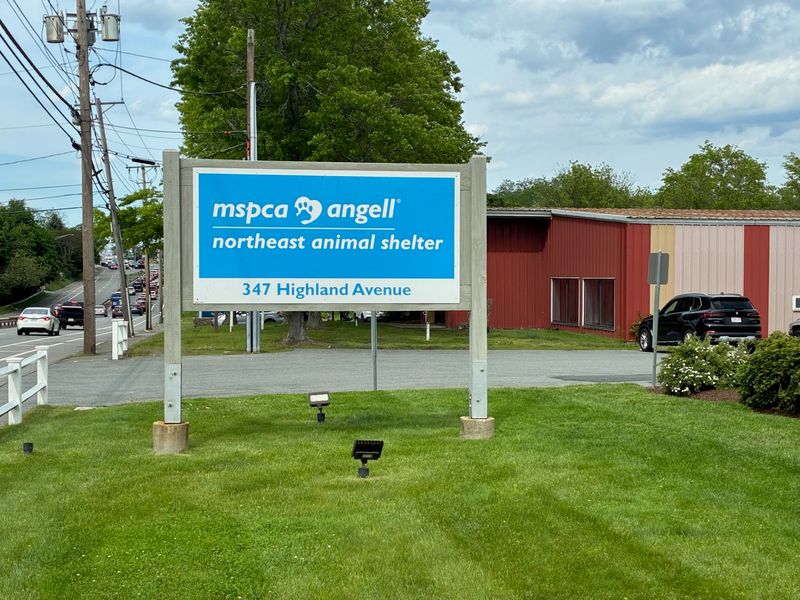 MSPCA at Northeast Animal Shelter, Salem, MA MSPCA at Northeast Animal Shelter, Salem, MA
