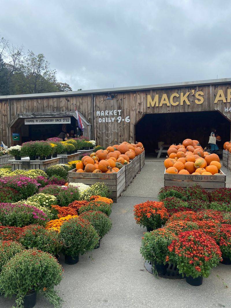 Mack's Apples, Londonderry, New Hampshire Mack's Apples, Londonderry, New Hampshire