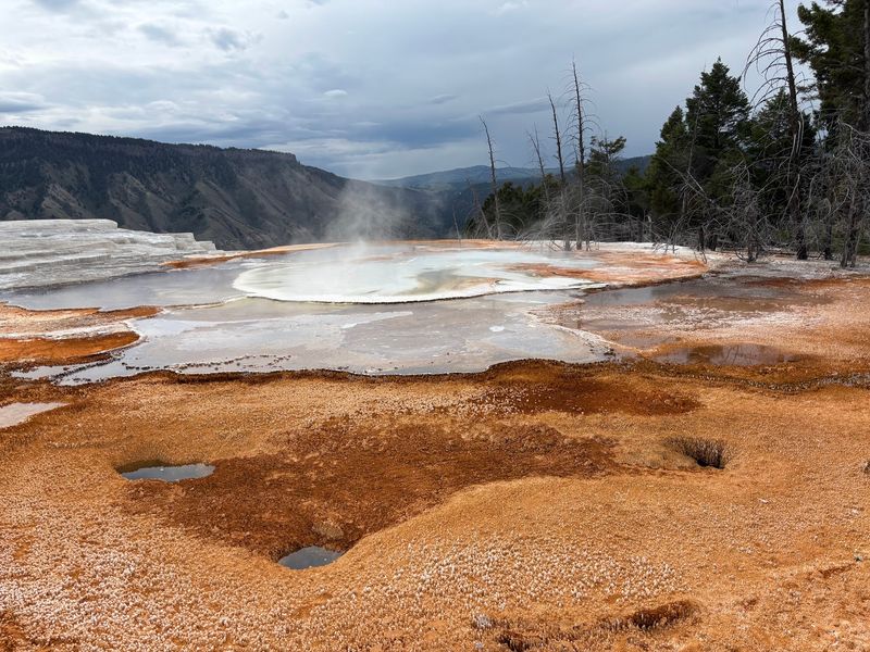 Mammoth Hot Springs Terraces, Yellowstone National Park, Wyoming Mammoth Hot Springs Terraces, Yellowstone National Park, Wyoming