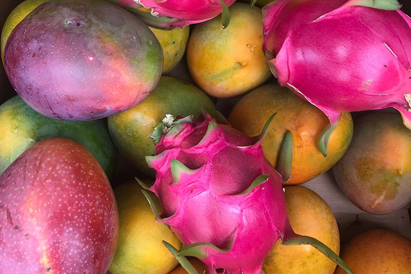 Mangoes That Steal The Show