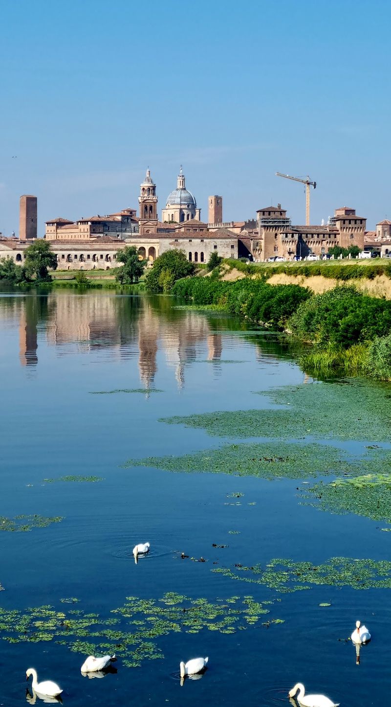 Mantua