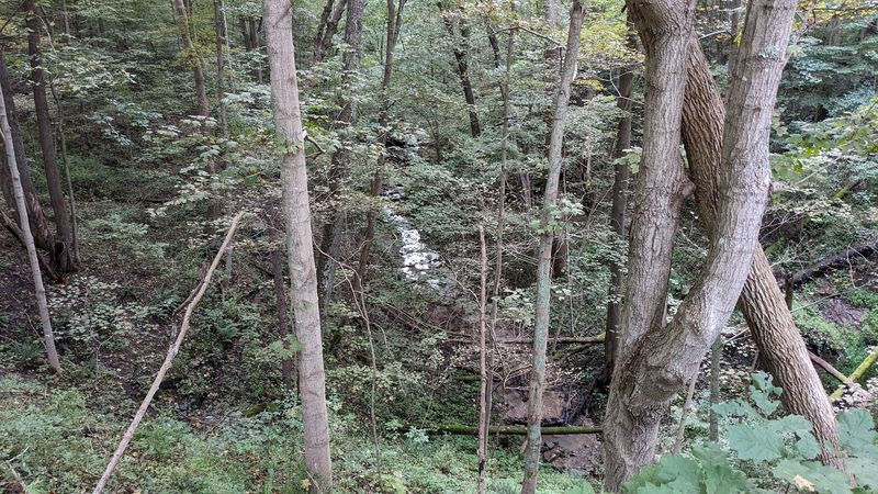 Marion County Trail, Fairmont, West Virginia