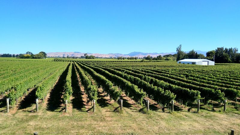 Marlborough, New Zealand Marlborough, New Zealand