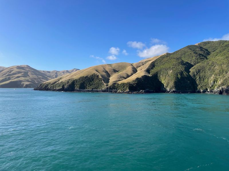 Marlborough Sounds, Marlborough