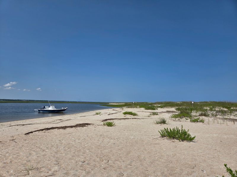 Masonboro Island Reserve, Wilmington, NC Masonboro Island Reserve, Wilmington, NC