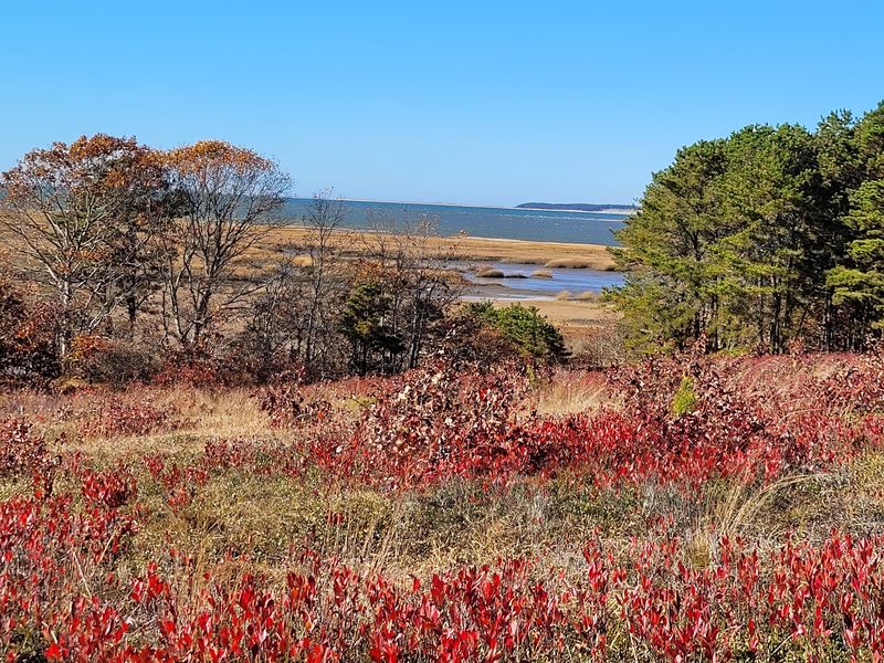 Mass Audubon Wellfleet Bay Wildlife Sanctuary, South Wellfleet, MA Mass Audubon Wellfleet Bay Wildlife Sanctuary, South Wellfleet, MA