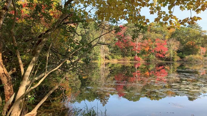 Mass Audubon's Ipswich River Wildlife Sanctuary, Topsfield, MA Mass Audubon's Ipswich River Wildlife Sanctuary, Topsfield, MA