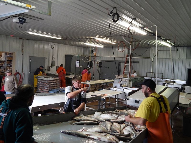 Massey Fish Co., St. Ignace, Michigan Massey Fish Co., St. Ignace, Michigan