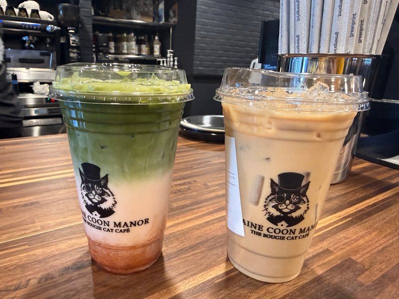 Matcha, Coffee, and Pastries Worth Sipping