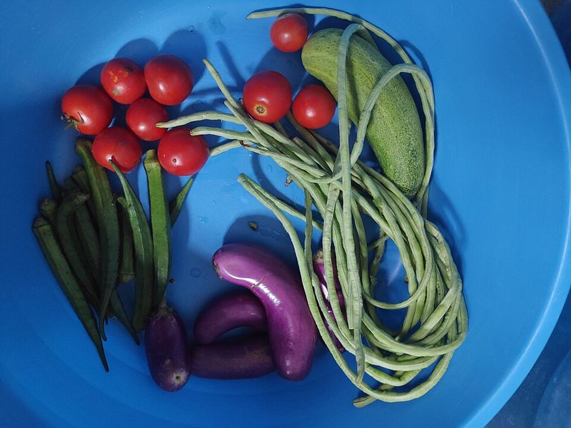 Mayo Clinic Diet Mayo Clinic Diet