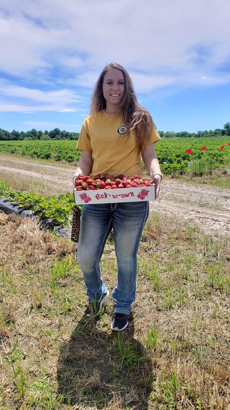 McLaughlin Strawberry Farm And Vegetables, Murphysboro, IL McLaughlin Strawberry Farm And Vegetables, Murphysboro, IL