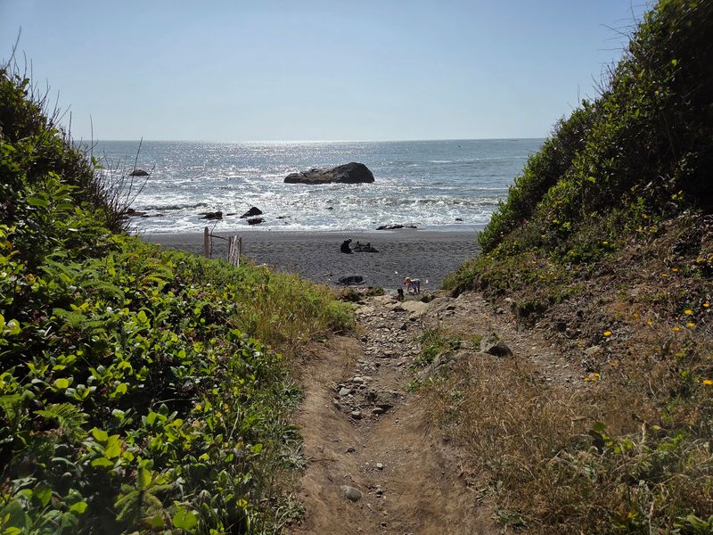 McVay Rock State Recreation Site, Brookings, OR McVay Rock State Recreation Site, Brookings, OR