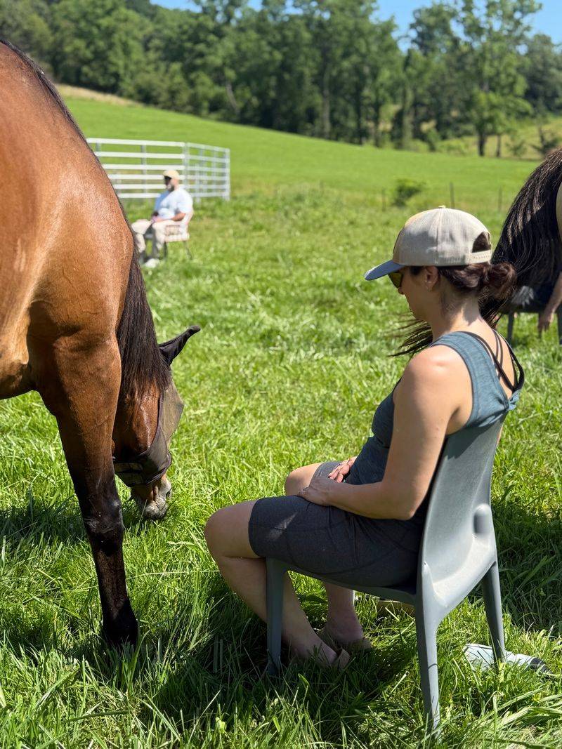 Meditation With Horses Meditation With Horses