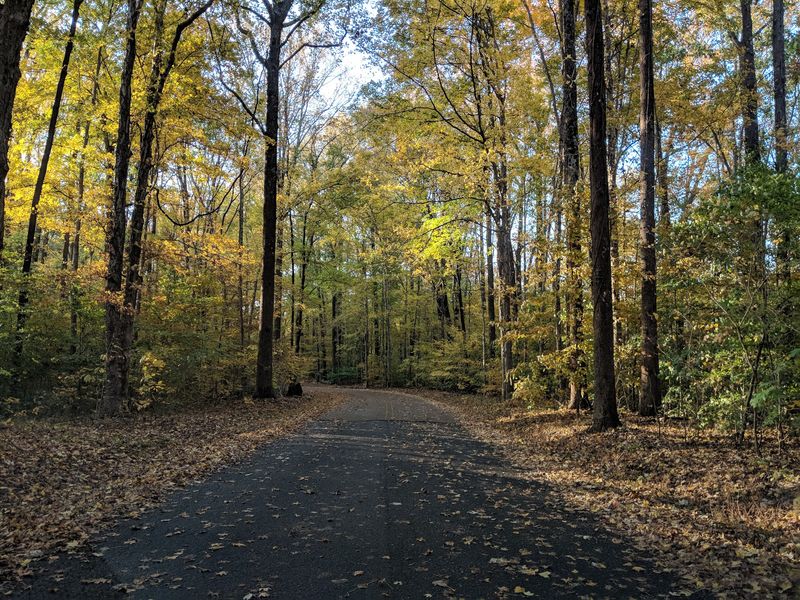 Meeman-Shelby Forest State Park, Millington, TN Meeman-Shelby Forest State Park, Millington, TN