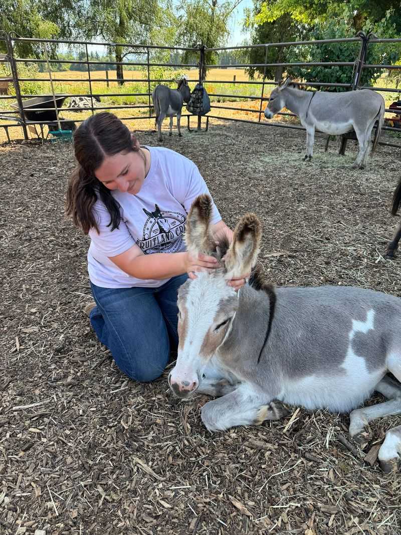 Meet Amber, the Heart of the Farm