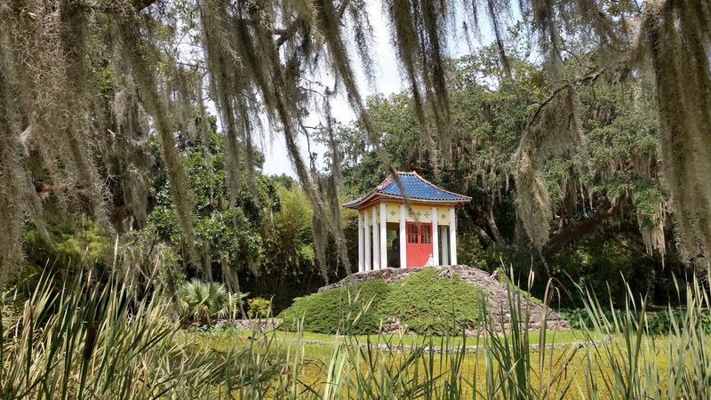 Meet Jungle Gardens on Avery Island Meet Jungle Gardens on Avery Island
