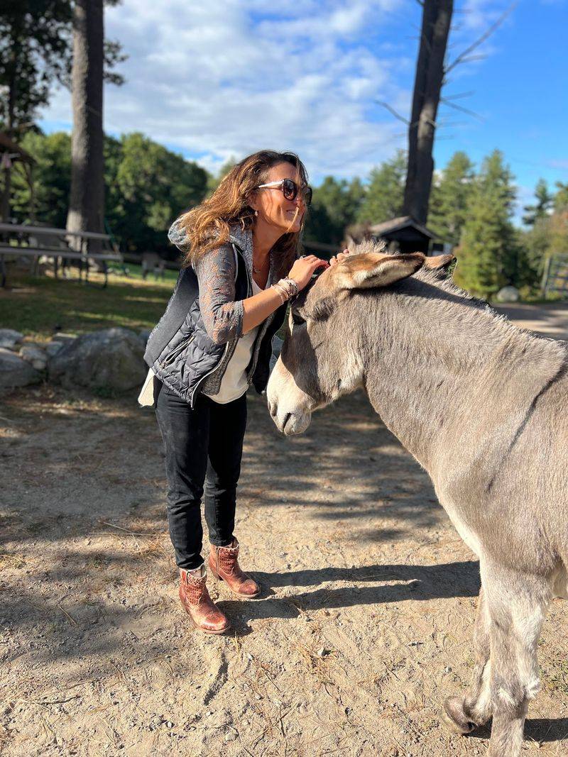 Meet Pedro The Donkey And Friends Meet Pedro The Donkey And Friends