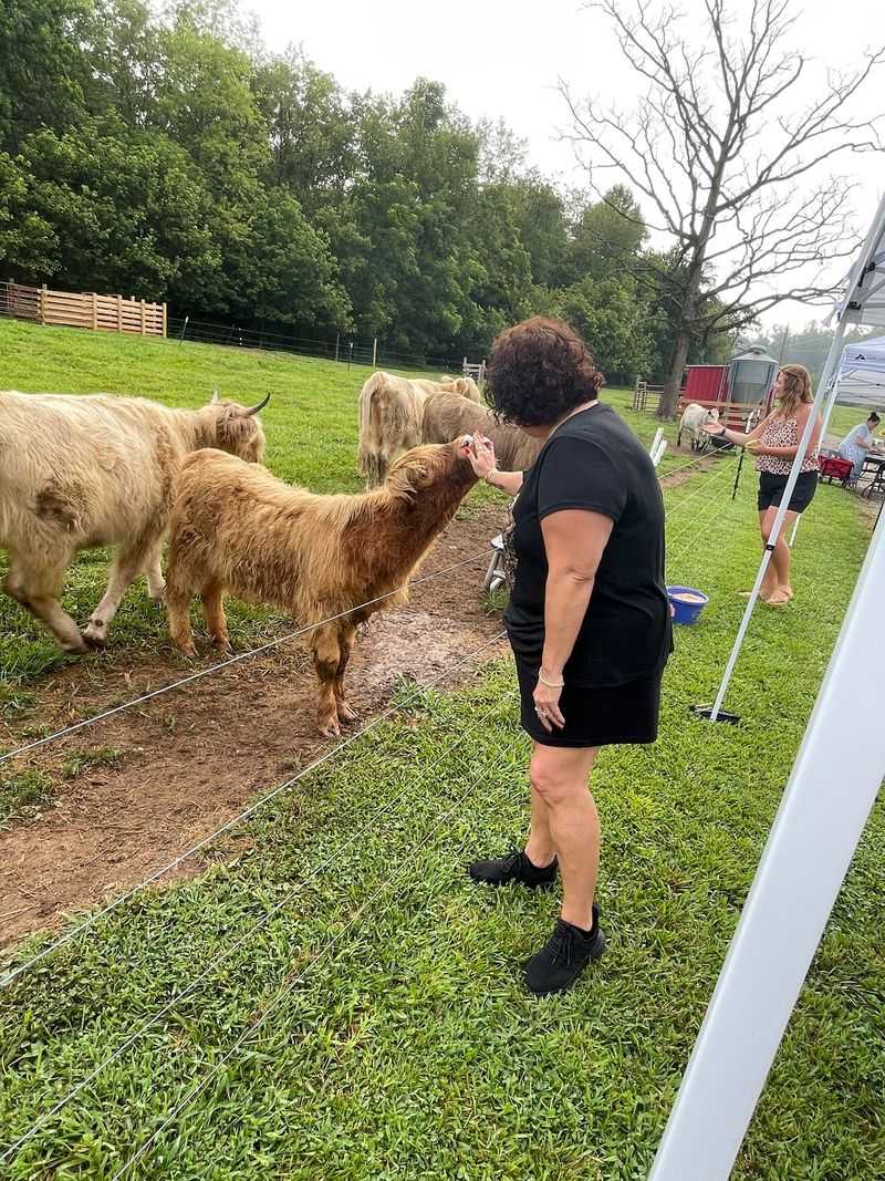 Meet The Herd's Personalities