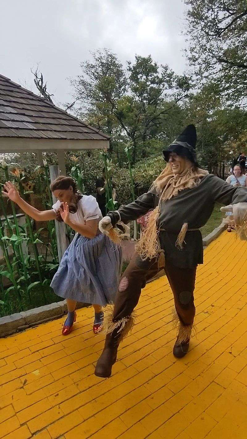 Meeting Dorothy and the Whole Cast Meeting Dorothy and the Whole Cast