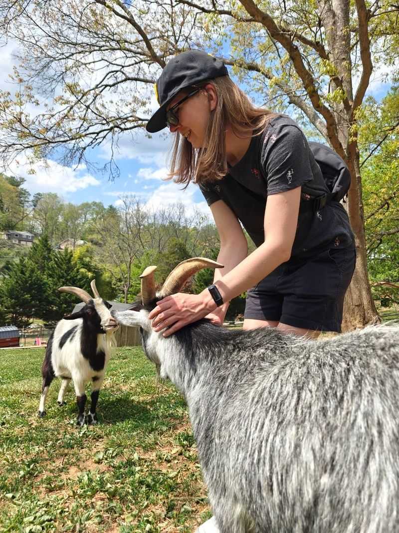 Meeting the Famously Friendly Goats