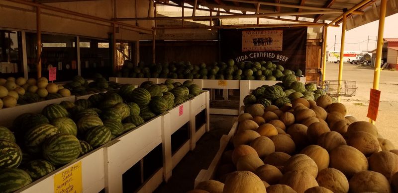 Melons That Built A Following