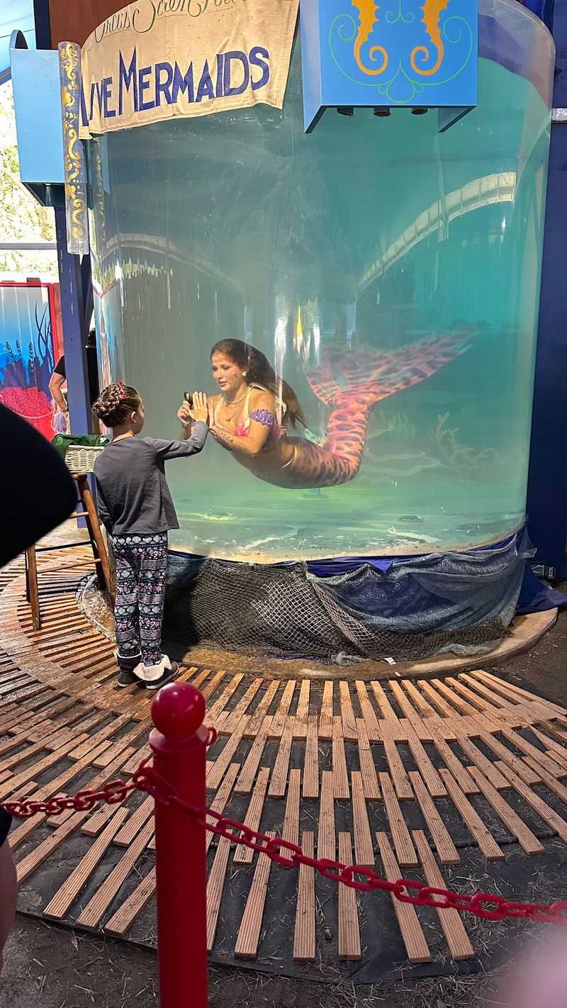Mermaids, Falconry, and Dragon Forges