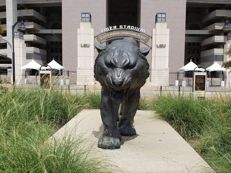 Mike the Tiger and His Place in LSU Tradition Mike the Tiger and His Place in LSU Tradition