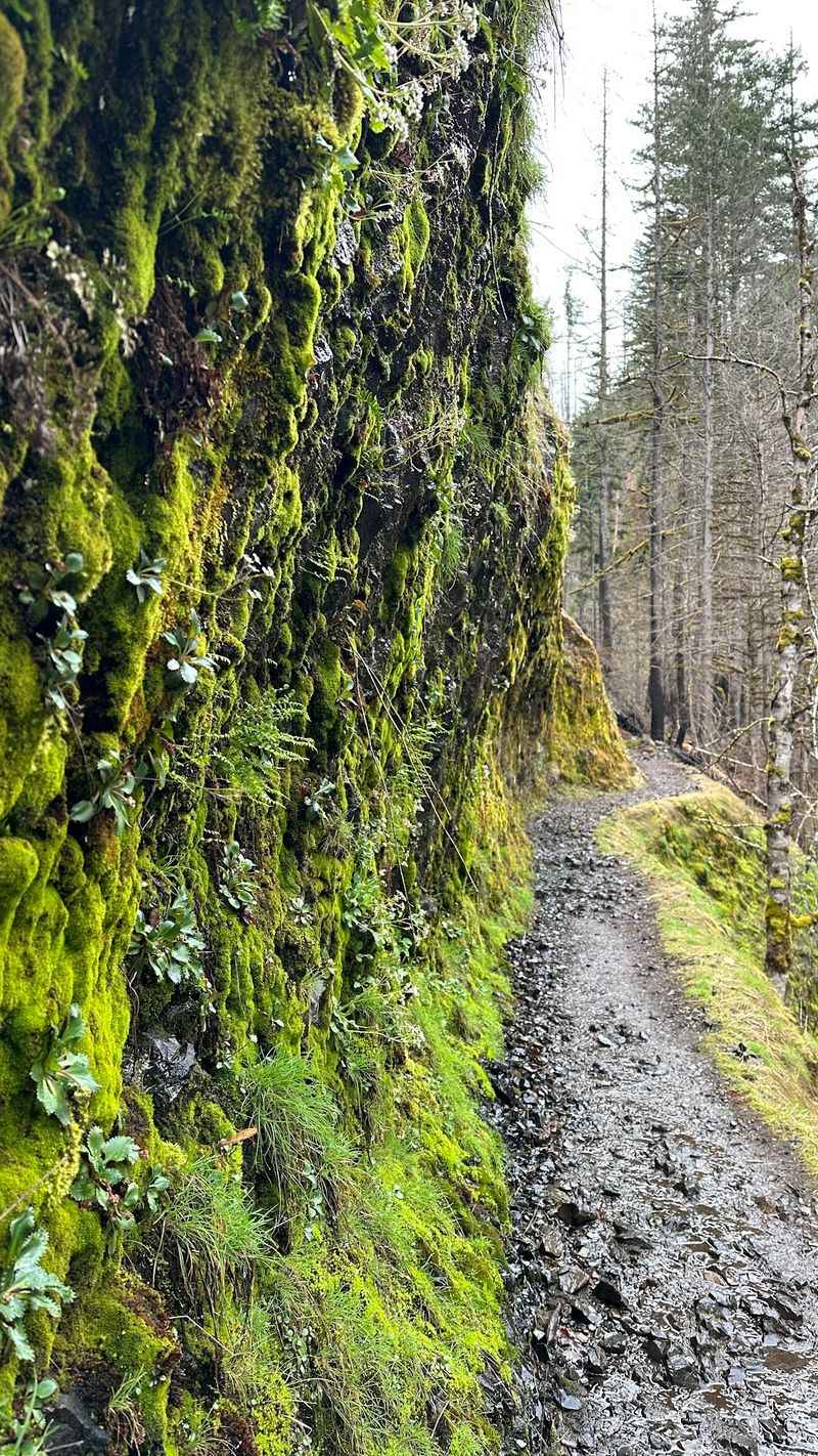 Miles, Elevation, and the All-Day Rhythm