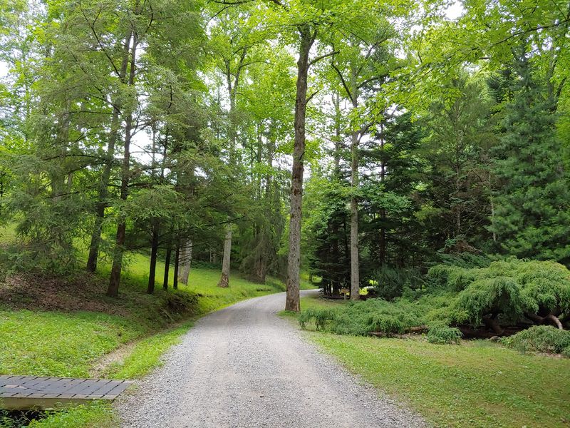 Miles Of Trails For Every Kind Of Walker Miles Of Trails For Every Kind Of Walker
