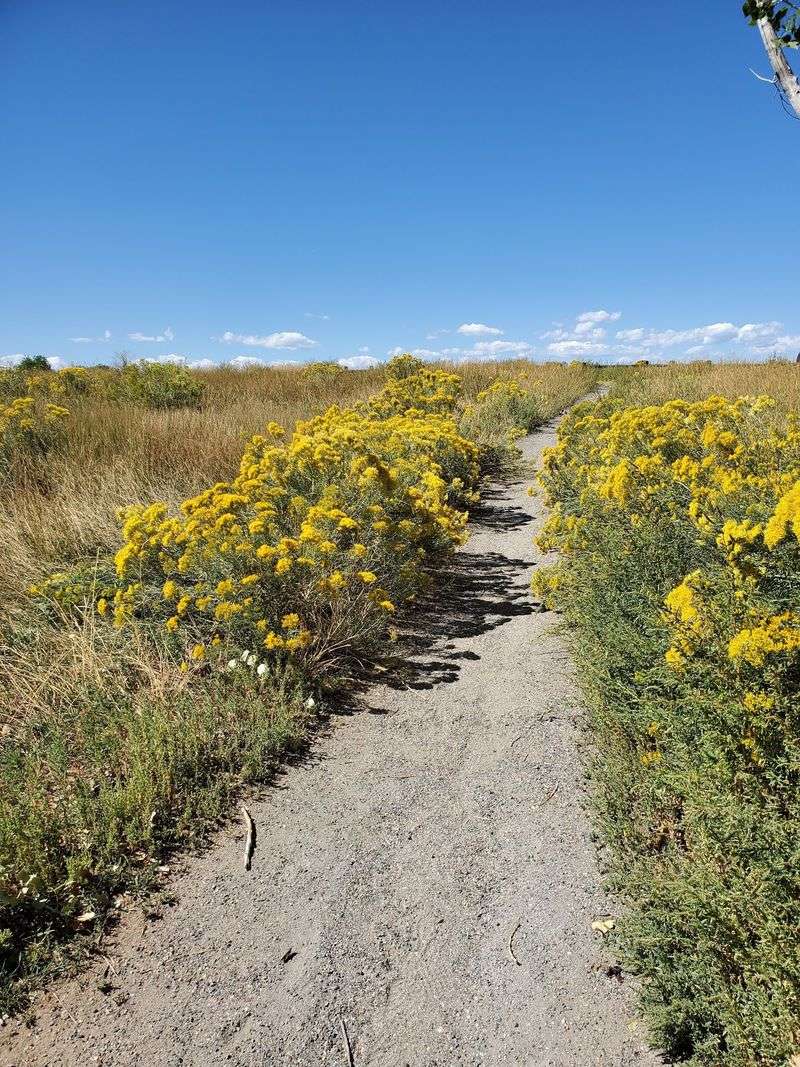 Miles of Trails Built for Wheels and Feet Miles of Trails Built for Wheels and Feet
