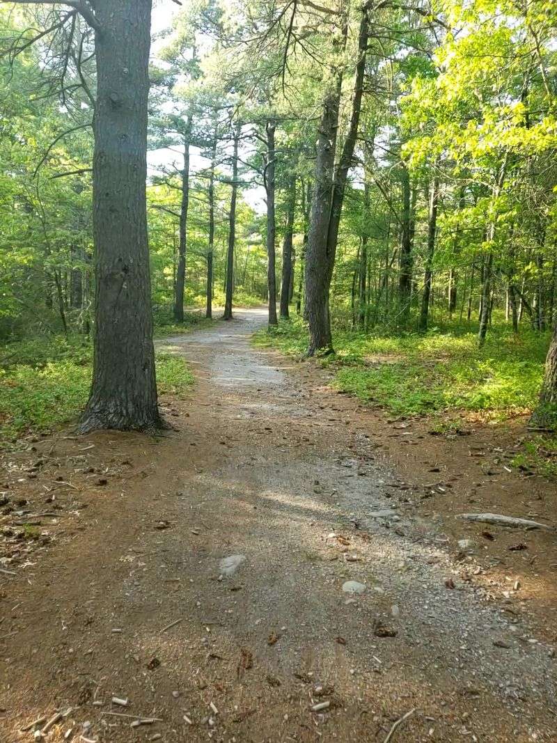 Miles of Trails for Every Pace Miles of Trails for Every Pace