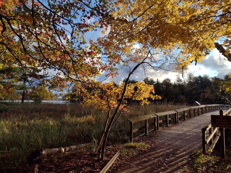 Miles of Trails for Every Skill Level and Pace