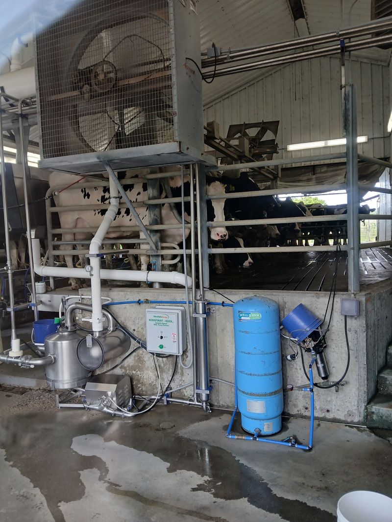 Milk Straight From the Source Milk Straight From the Source