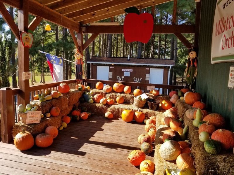 Millstone Creek Orchards, North Carolina, Ramseur Millstone Creek Orchards, North Carolina, Ramseur