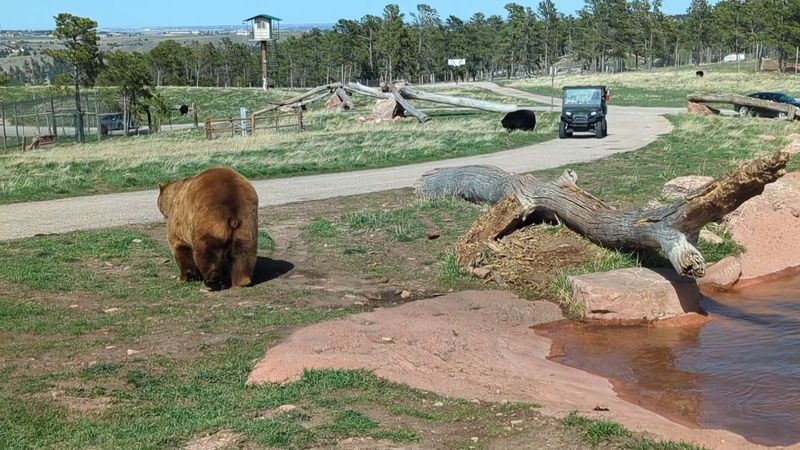 Montana's Only Accredited Zoo and Botanical Garden Montana's Only Accredited Zoo and Botanical Garden