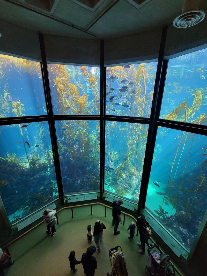 Monterey Bay Aquarium, Monterey, California Monterey Bay Aquarium, Monterey, California