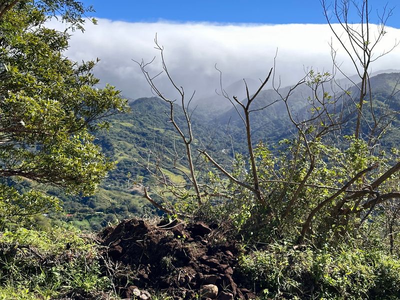 Monteverde, Costa Rica